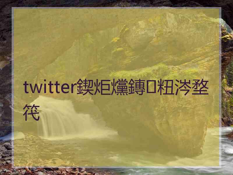 twitter鍥炬爣鏄粈涔堥笩