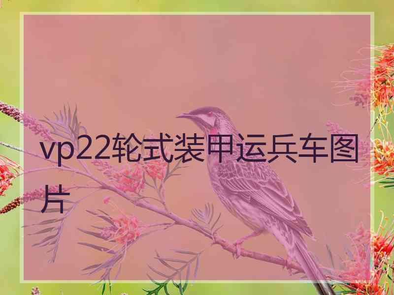 vp22轮式装甲运兵车图片