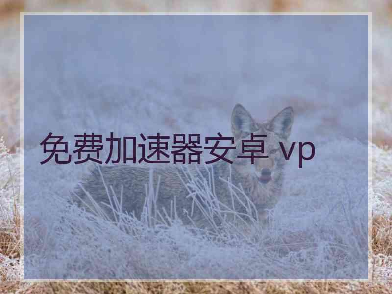 免费加速器安卓 vp