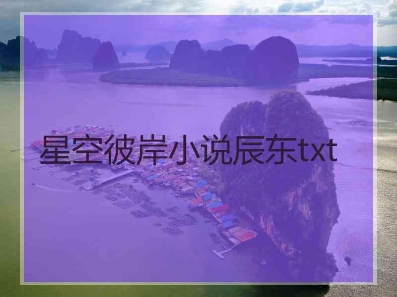 星空彼岸小说辰东txt