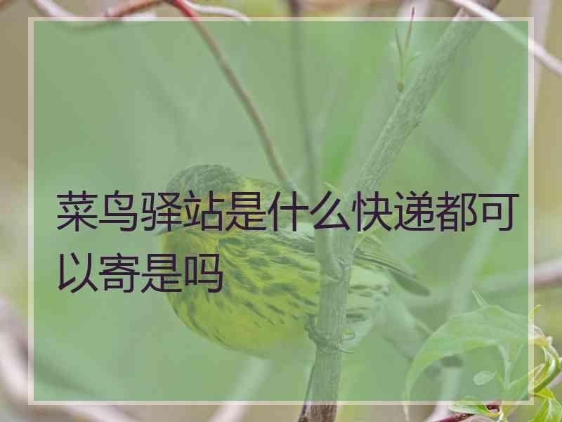 菜鸟驿站是什么快递都可以寄是吗