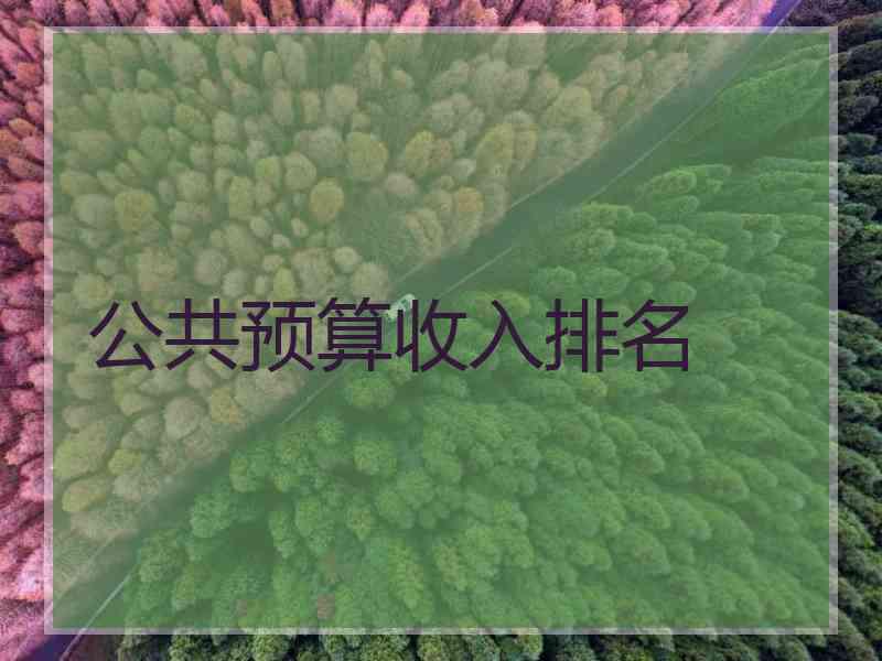 公共预算收入排名