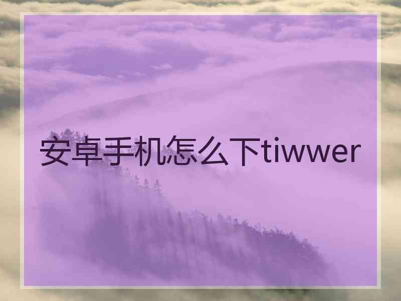 安卓手机怎么下tiwwer