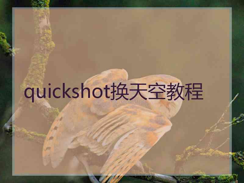 quickshot换天空教程