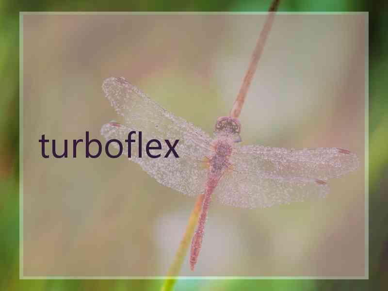 turboflex