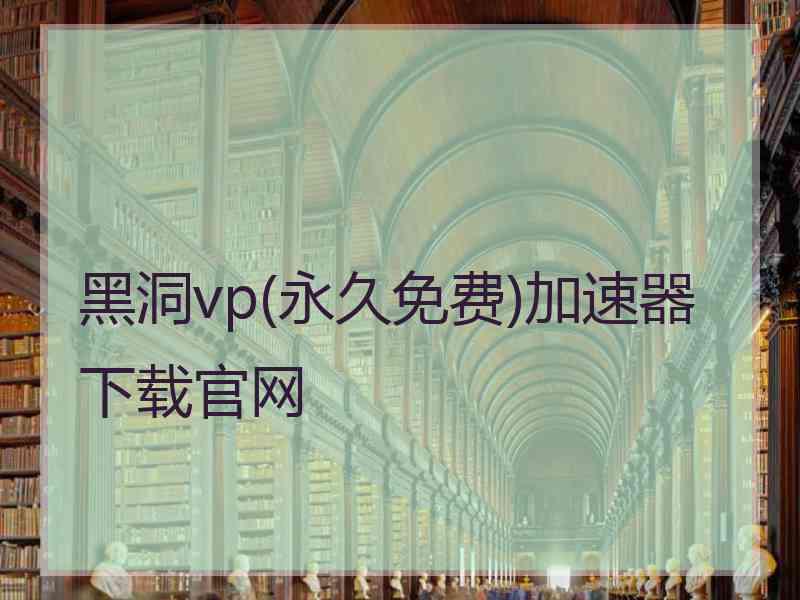 黑洞vp(永久免费)加速器下载官网