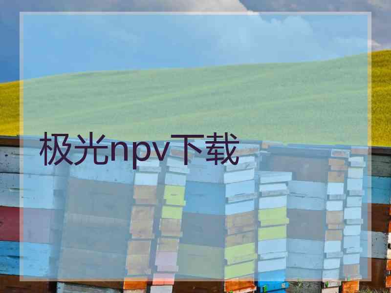 极光npv下载