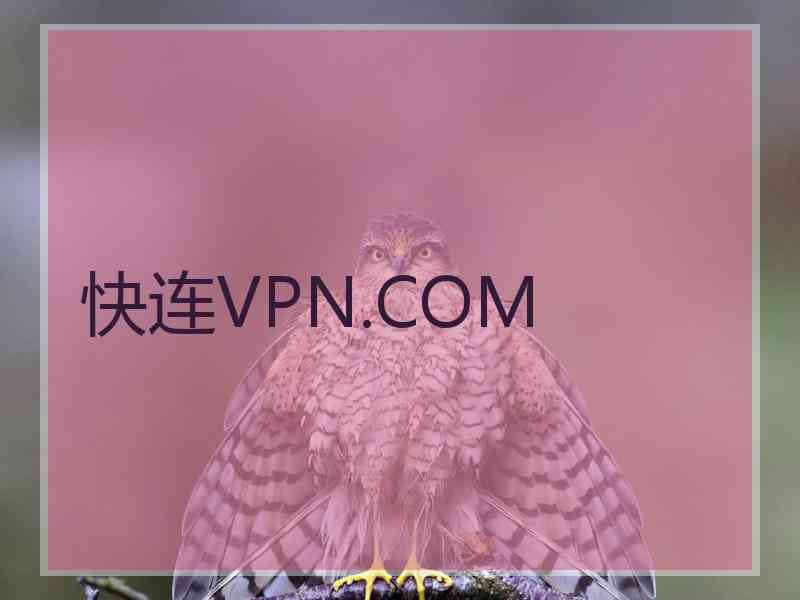 快连VPN.COM