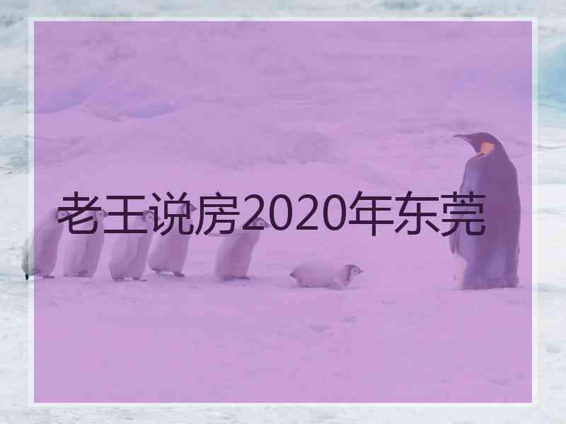 老王说房2020年东莞