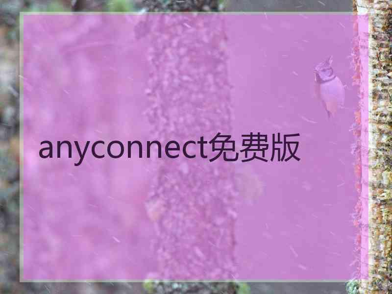 anyconnect免费版