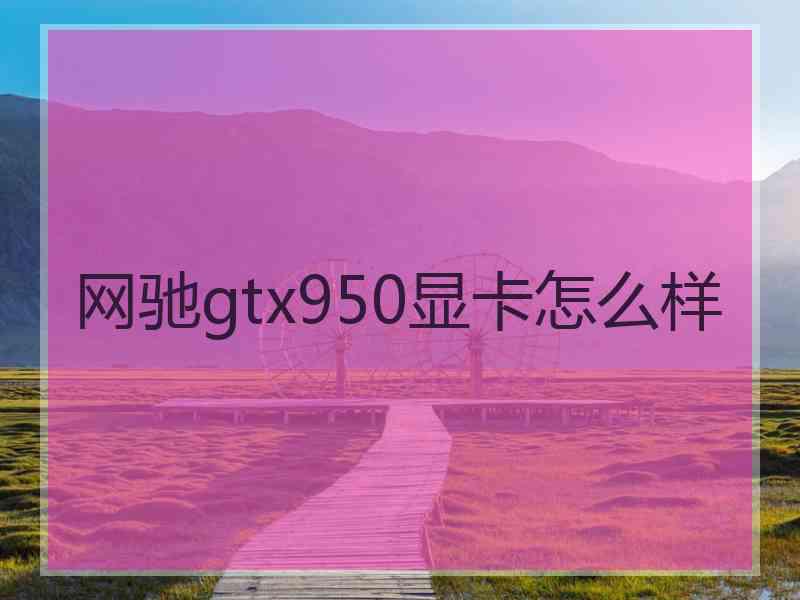 网驰gtx950显卡怎么样