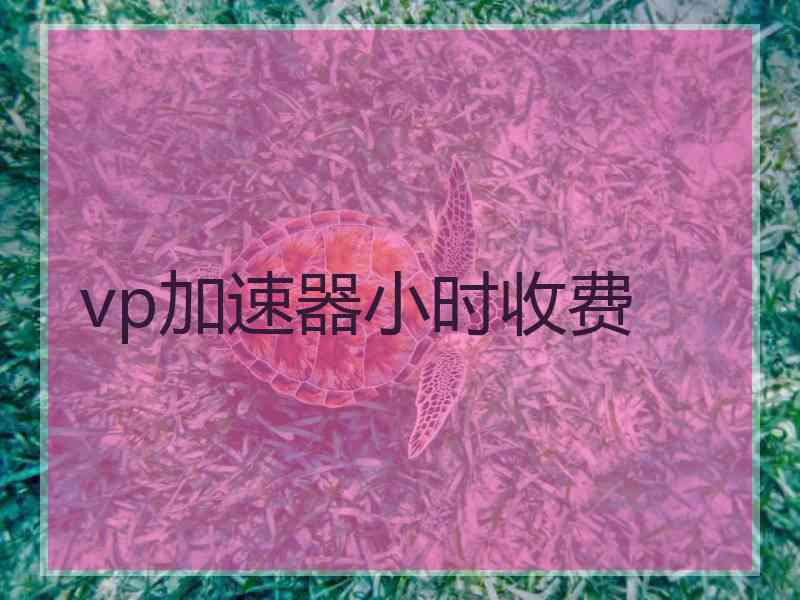 vp加速器小时收费