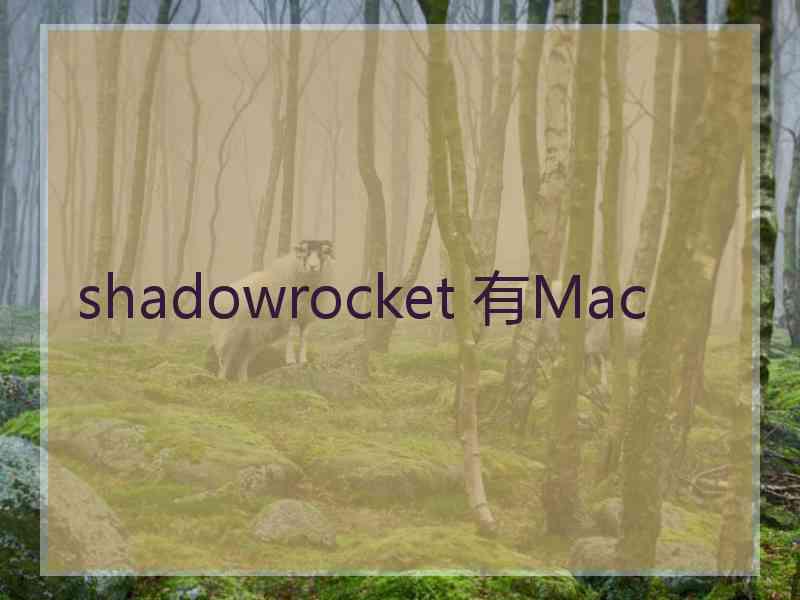 shadowrocket 有Mac