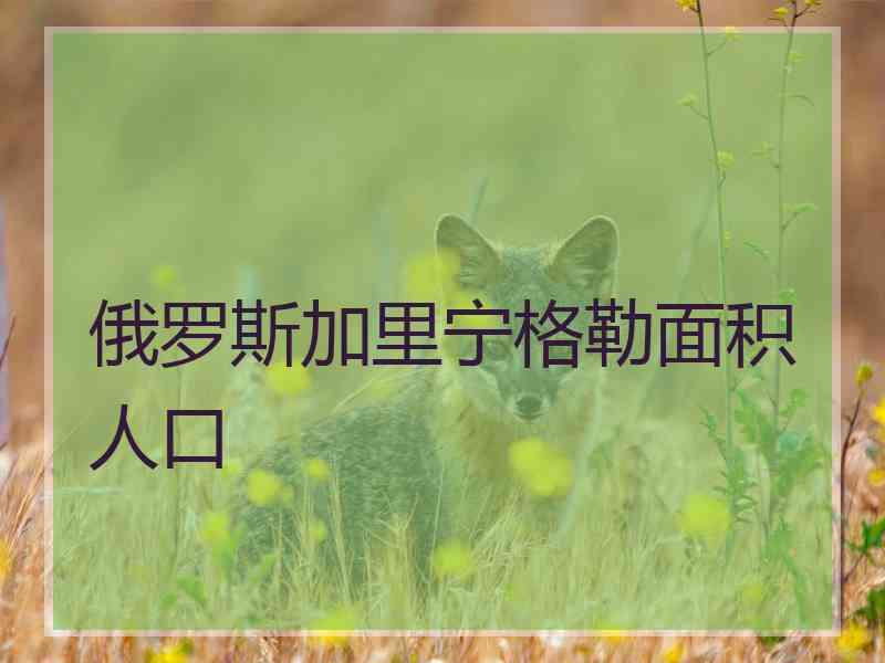 俄罗斯加里宁格勒面积人口