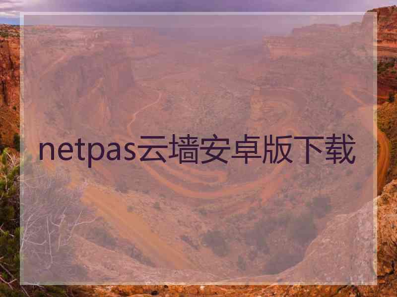 netpas云墙安卓版下载