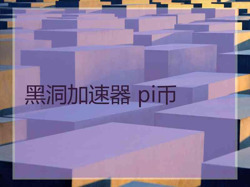 黑洞加速器 pi币