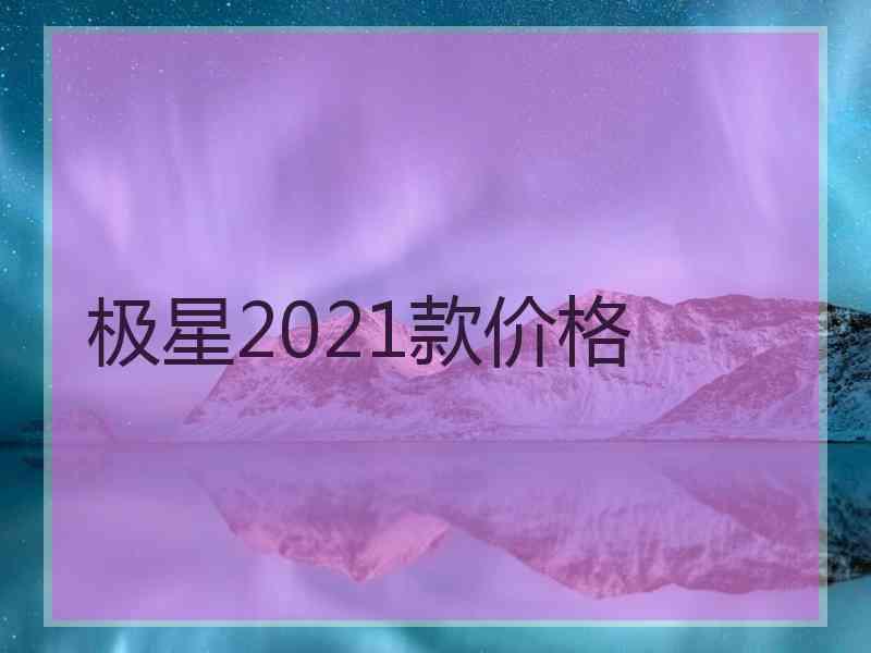 极星2021款价格