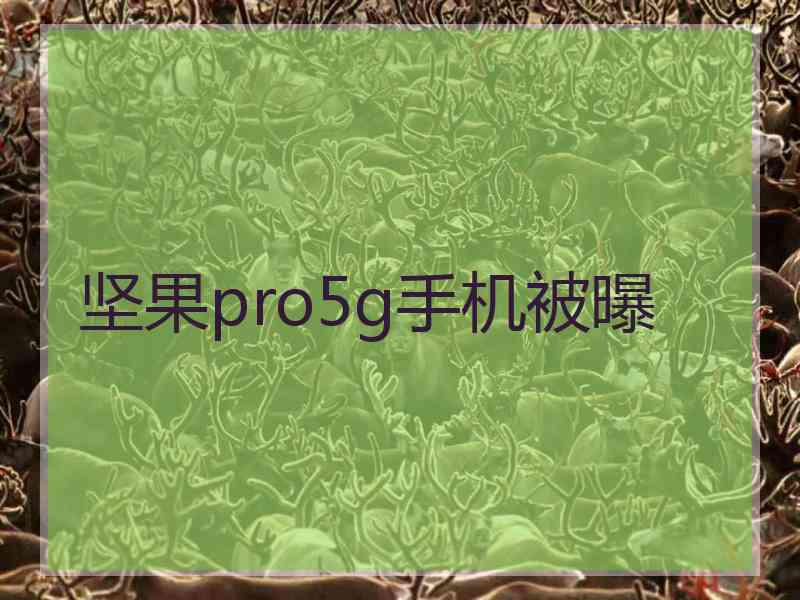 坚果pro5g手机被曝