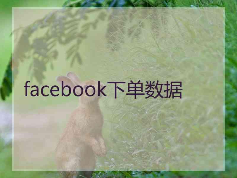 facebook下单数据