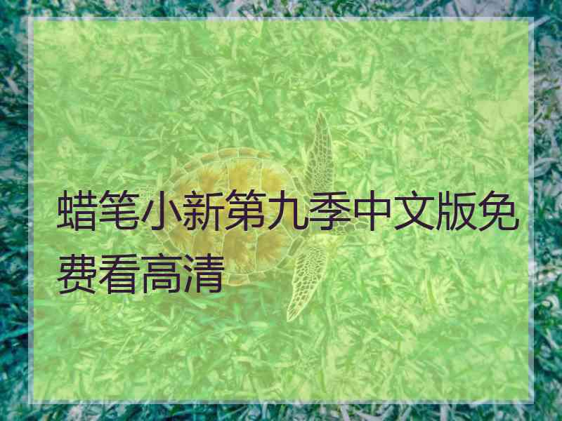 蜡笔小新第九季中文版免费看高清