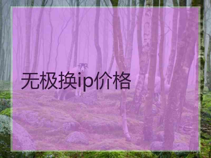 无极换ip价格