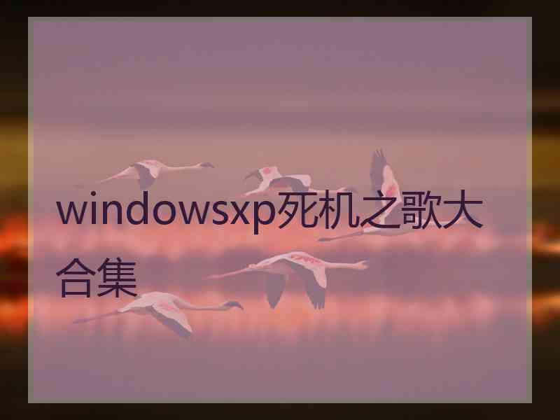 windowsxp死机之歌大合集