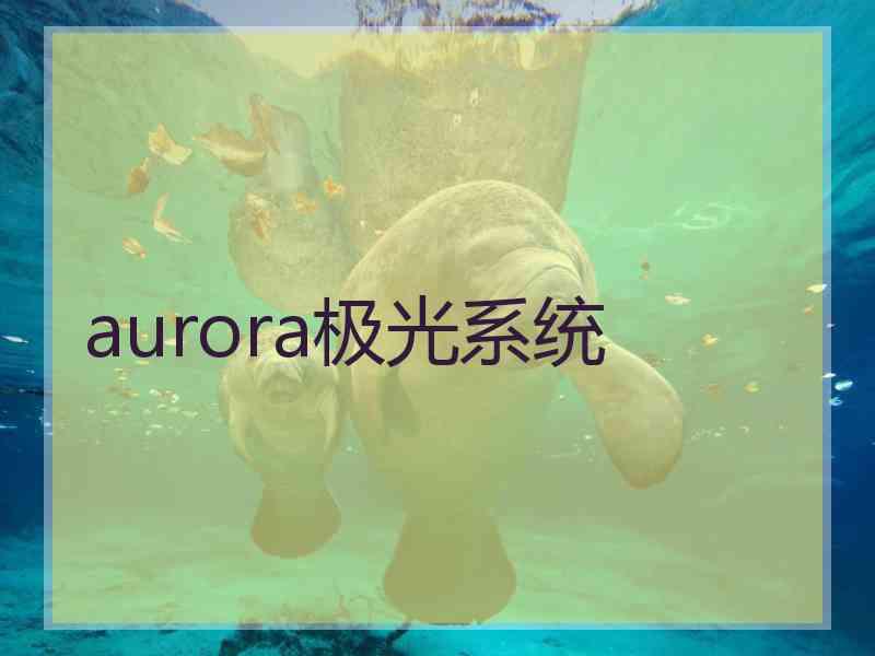 aurora极光系统