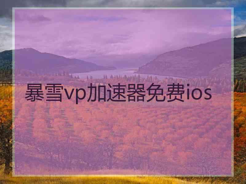 暴雪vp加速器免费ios