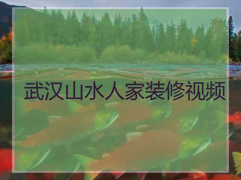 武汉山水人家装修视频