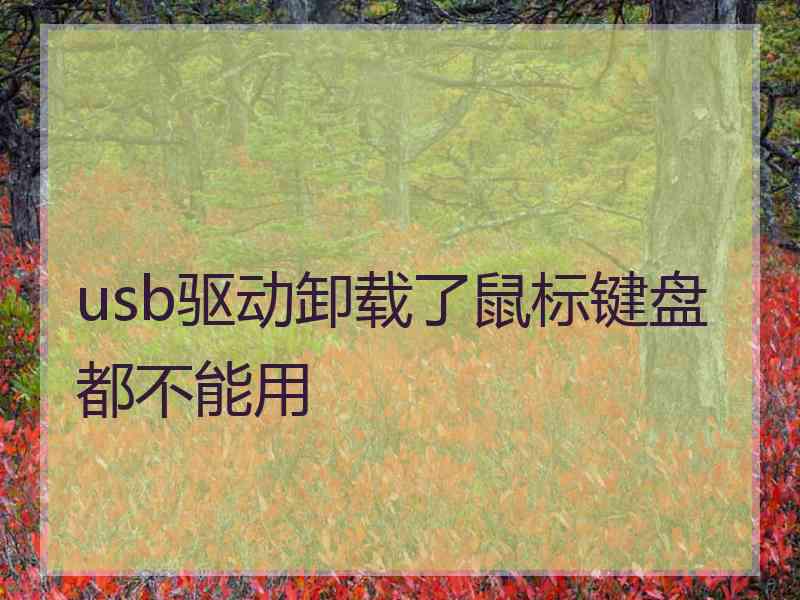 usb驱动卸载了鼠标键盘都不能用