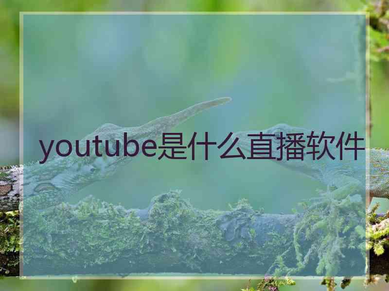 youtube是什么直播软件