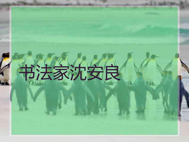 书法家沈安良