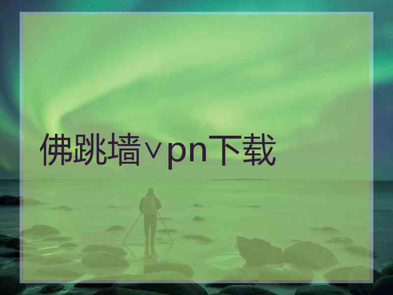 佛跳墙∨pn下载