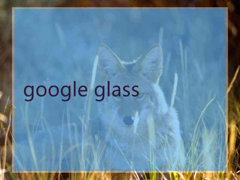 google glass