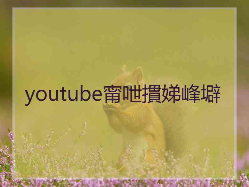 youtube甯呭摜娣峰壀