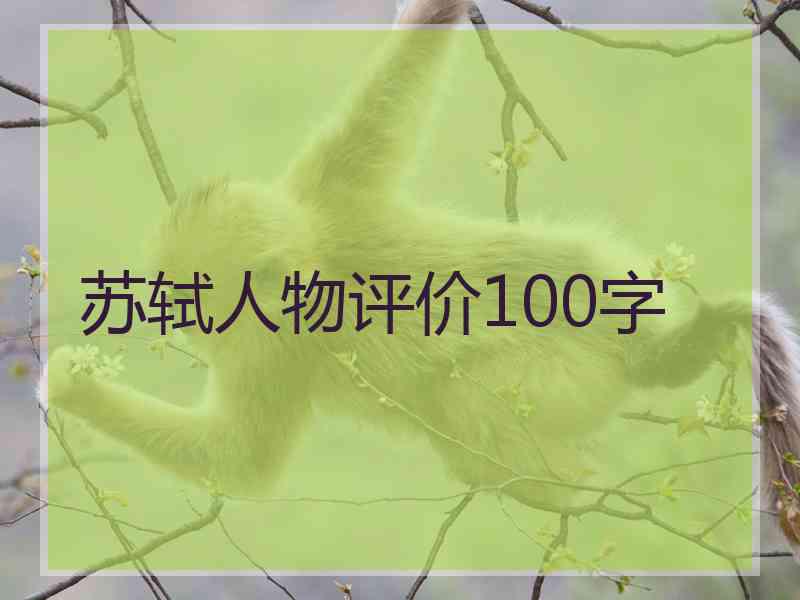 苏轼人物评价100字