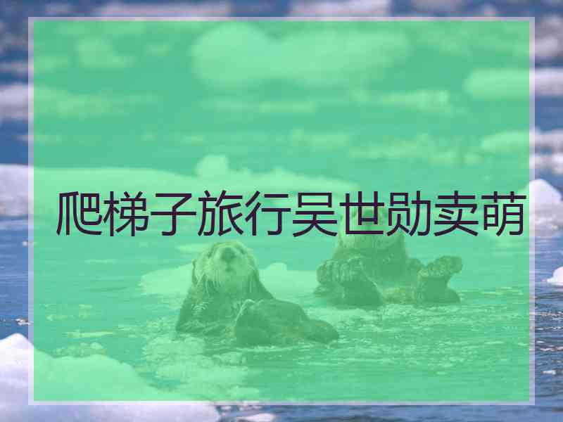 爬梯子旅行吴世勋卖萌