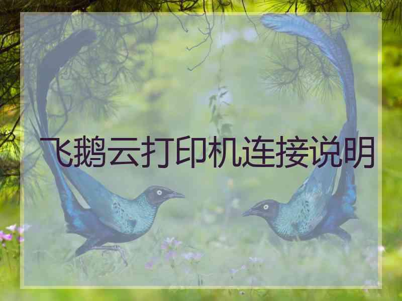 飞鹅云打印机连接说明