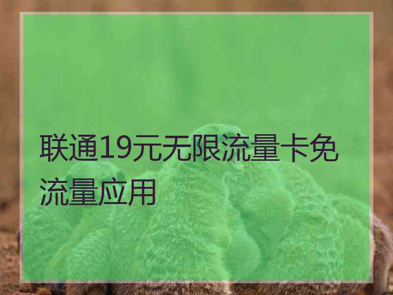 联通19元无限流量卡免流量应用