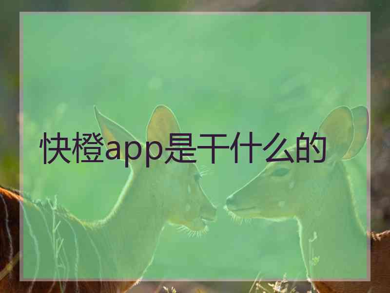 快橙app是干什么的