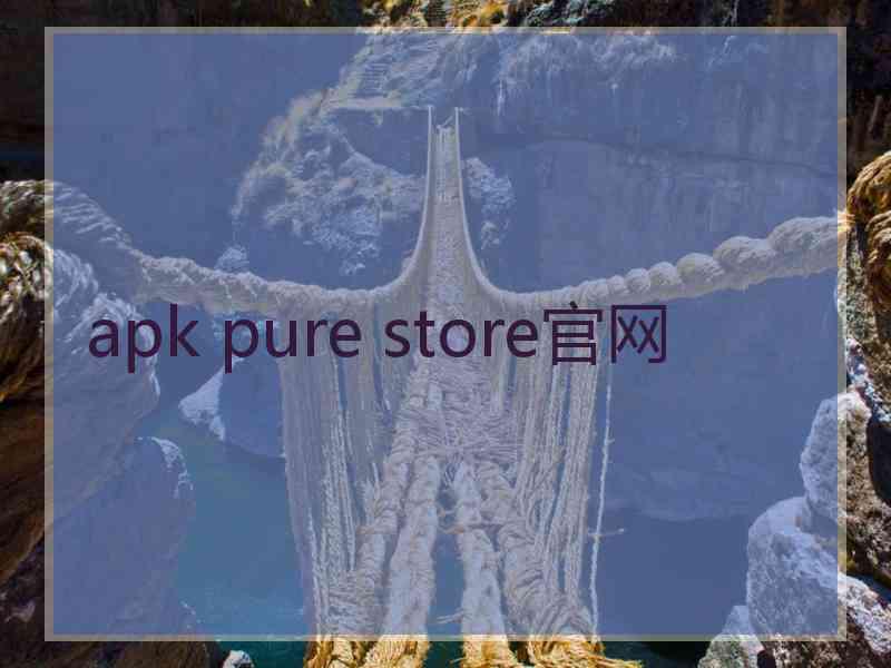 apk pure store官网