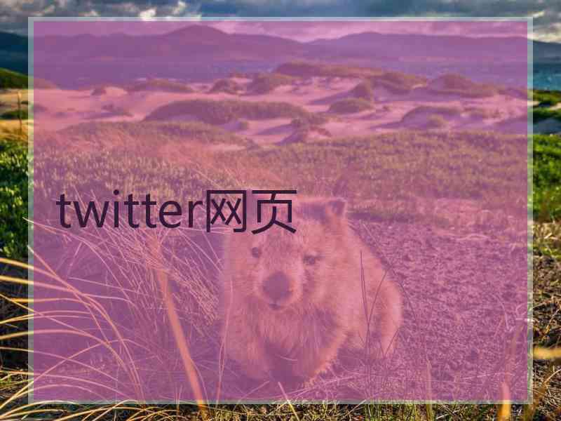 twitter网页