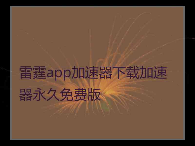 雷霆app加速器下载加速器永久免费版