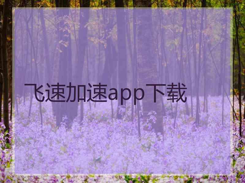 飞速加速app下载