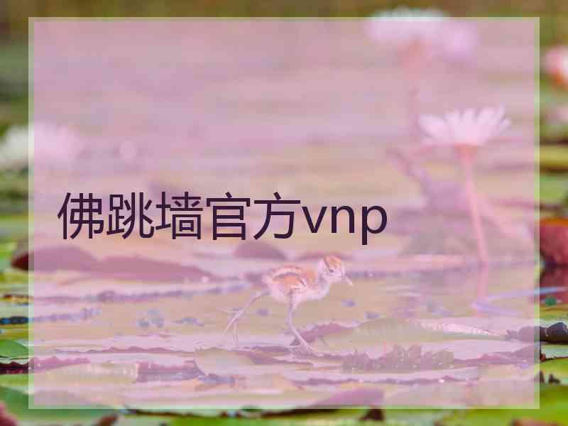 佛跳墙官方vnp