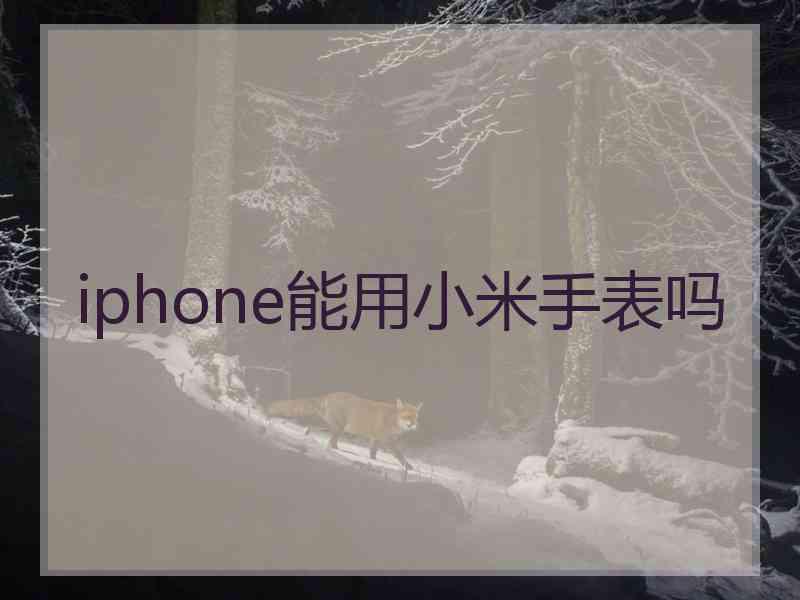 iphone能用小米手表吗