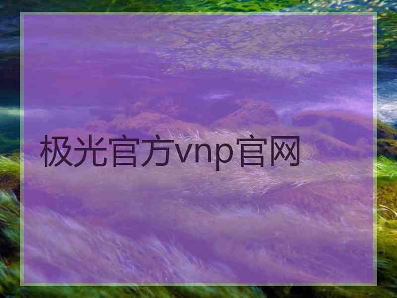 极光官方vnp官网