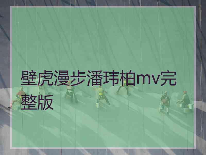 壁虎漫步潘玮柏mv完整版