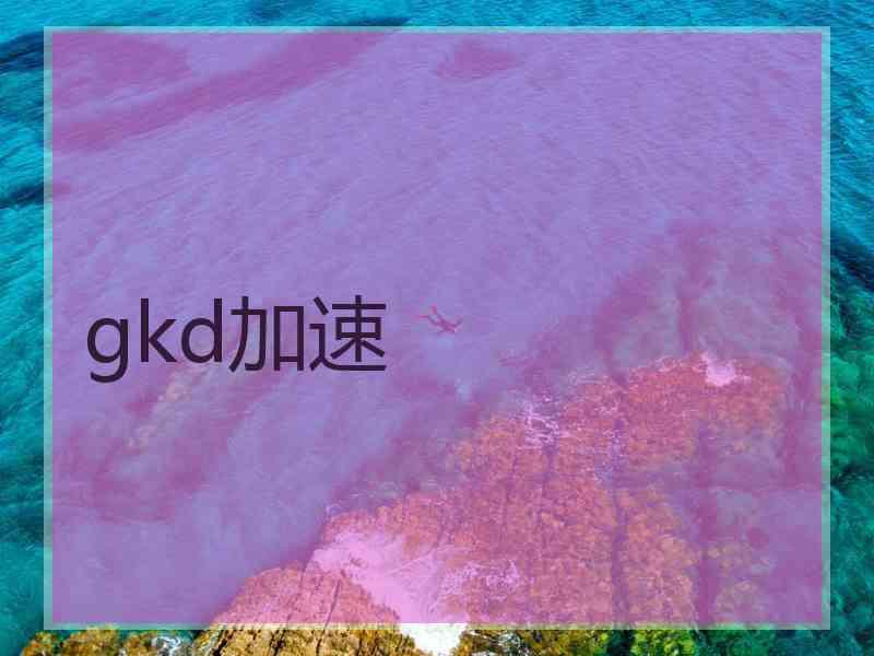 gkd加速