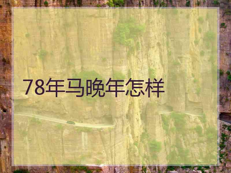 78年马晚年怎样